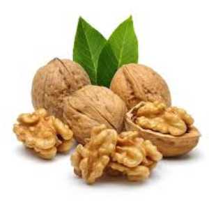 خرید نهال گردو شیلی پیوندی