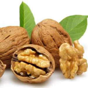 خرید نهال گردو فرنت باکیفیت