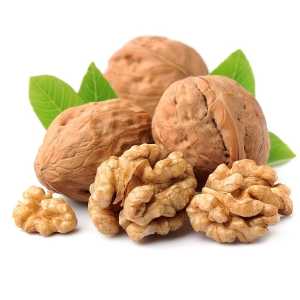 خرید نهال گردو ژنوتیپ تیپ 7 سردسیری