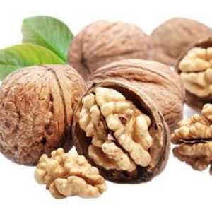 خرید نهال گردو ژنوتیپ تیپ 5 خشک و نیمه‌خشک