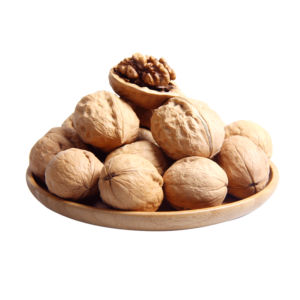 خرید نهال گردو ژنوتیپ تیپ 5 خشک و نیمه‌خشک قیمت مناسب