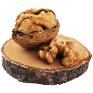 خرید نهال گردو ژنوتیپ تیپ 4 معتدل