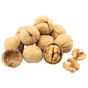 خرید نهال گردو ژنوتیپ تیپ 4 معتدل باکیفیت