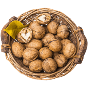 خرید نهال گردو ژنوتیپ تیپ 4 معتدل قیمت مناسب
