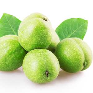 خرید نهال گردو ژنوتیپ تیپ 6 پیوندی باکیفیت