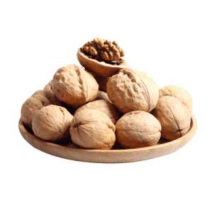 خرید نهال گردو ژنوتیپ تیپ 6 پیوندی قیمت مناسب