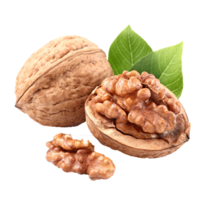 خرید نهال گردو ژنوتیپ تیپ 5 پیوندی