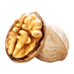 خرید نهال گردو ژنوتیپ تیپ 5 پیوندی قیمت مناسب
