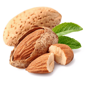 خرید نهال بادام آذر خوشه ای