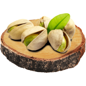 خرید نهال پسته کوهی (بنه) باکیفیت