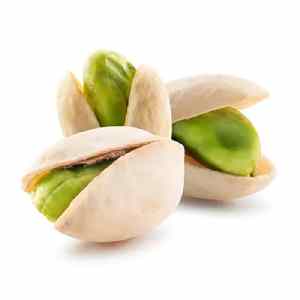 خرید نهال پسته فندقی (اوحدی) باکیفیت