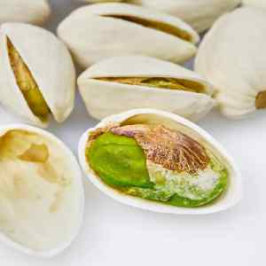 خرید نهال پسته فندقی (اوحدی) قیمت مناسب