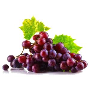 خرید نهال انگور بیدانه قرمز قیمت مناسب
