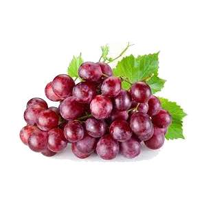 خرید نهال انگور دلاورا