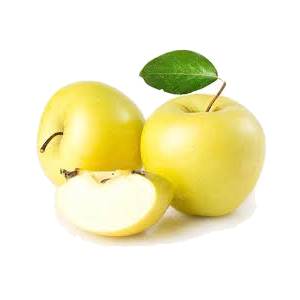 خرید نهال سیب گلاب کهنز تابستانی باکیفیت