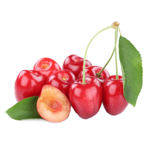 خرید نهال گیلاس سم قیمت مناسب