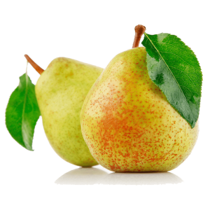 خرید نهال گلابی جنگلی قیمت مناسب