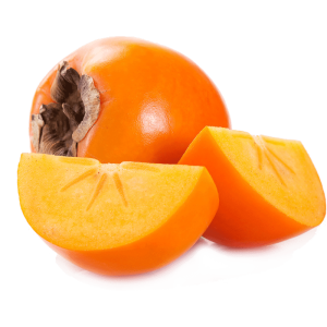 خرید نهال خرمالو ژاپنی باکیفیت