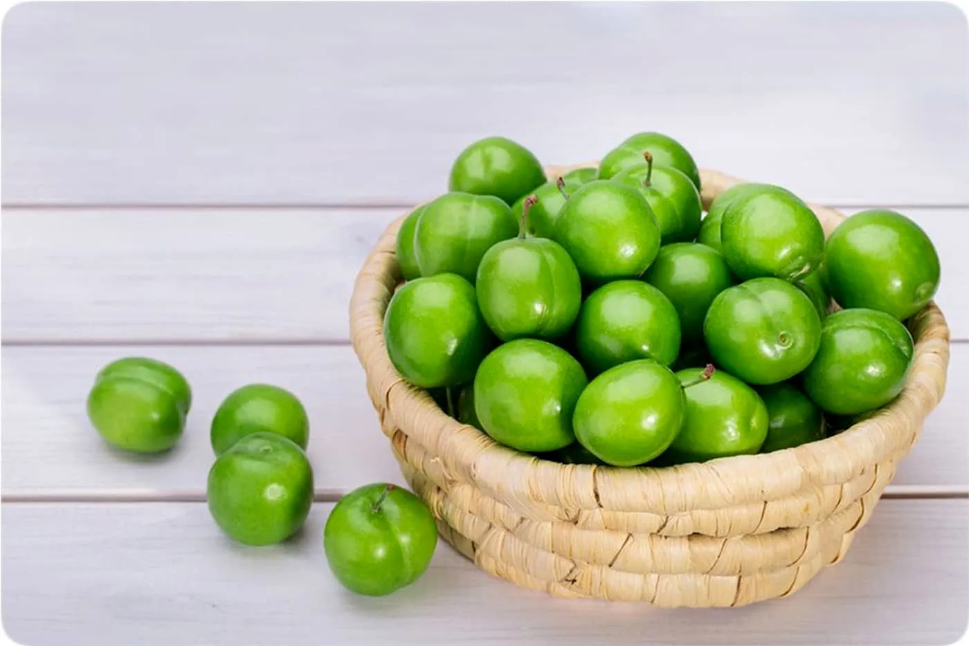خرید نهال گوجه سبز مراغه