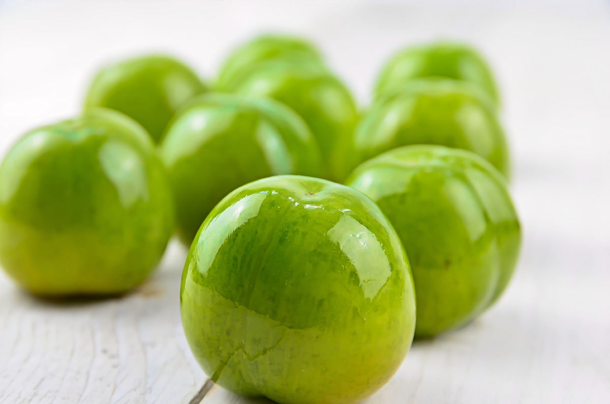 خرید نهال گوجه سبز شهریار
