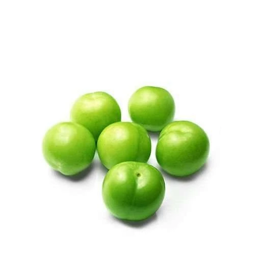 خرید نهال گوجه سبز شهریار باکیفیت