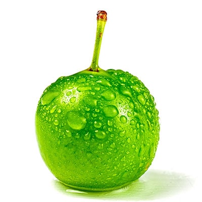 خرید نهال گوجه سبز سر دورود