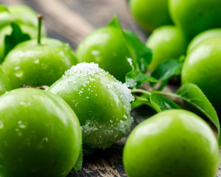 خرید نهال گوجه سبز زودرس