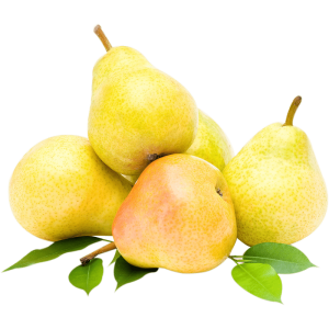 خرید نهال گلابی ویلیام دوشیز باکیفیت