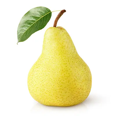 خرید نهال گلابی نطنز