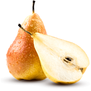 خرید نهال گلابی مشو